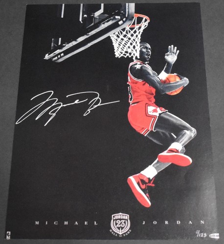 2009 print michael jordan - 2009,