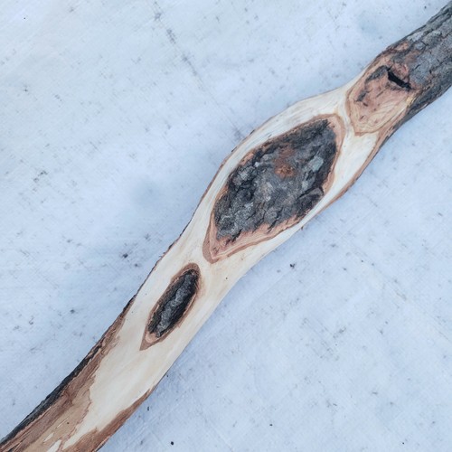 Diamond willow carving wood - carving,