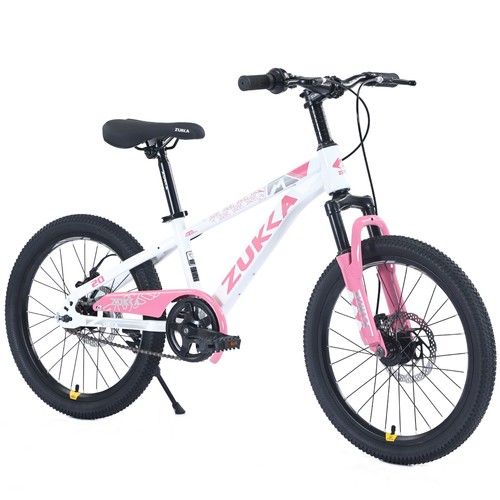 Inch mountain bike - 20,