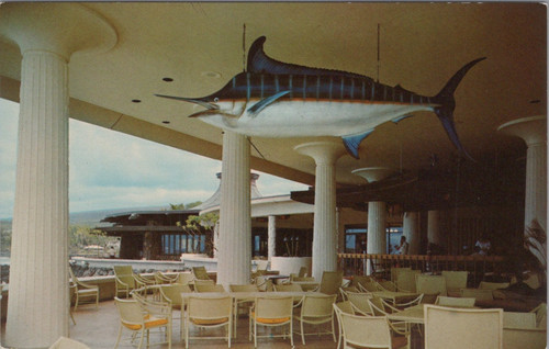 Kona hilton hotel stuffed - kona,