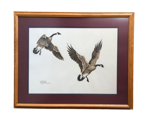 Signed framed print taylor - signed, by