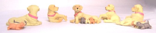 Mother golden retriever with - retriever,