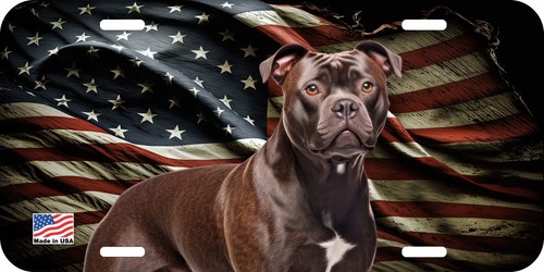 Staffordshire bull terrier - staffordshire,