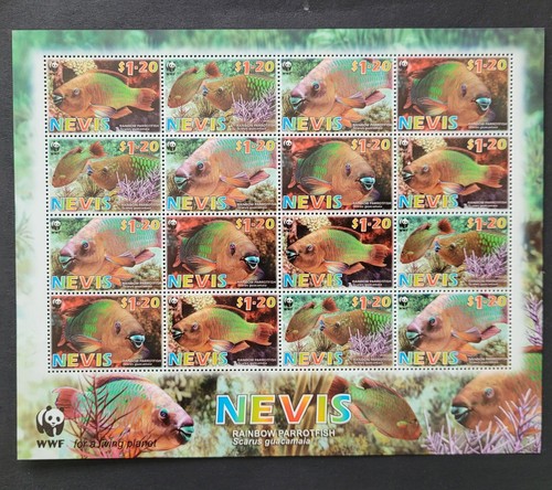 Nevis 2007 wwf - /,