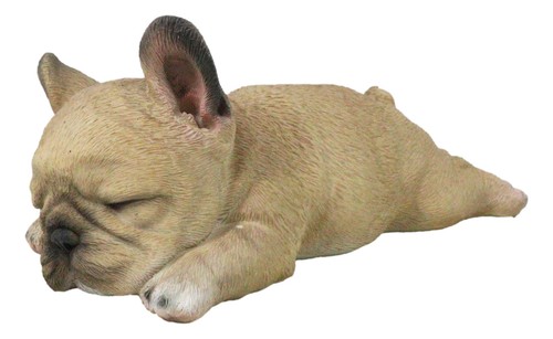 Realistic adorable french - realistic,