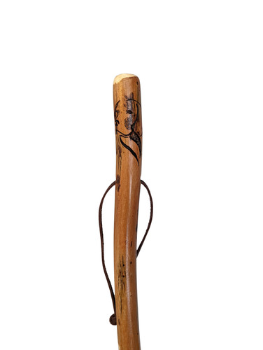 Walking stick dog - walking,
