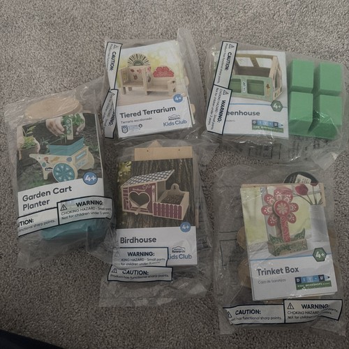 Lowes diy kids kit - 5,