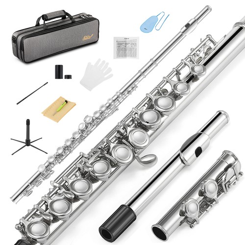 Eastar concert flute with - concert,