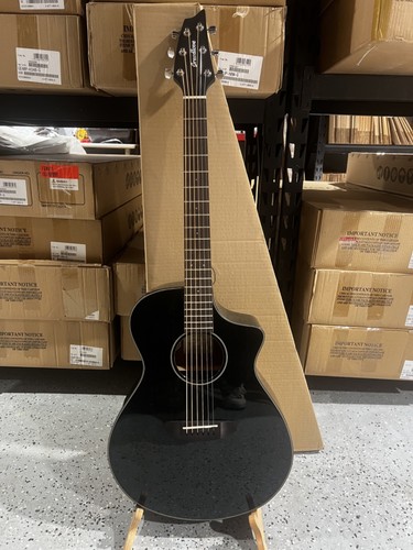 Breedlove rainforest concert - breedlove,
