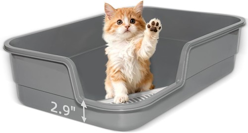 Extra large litter box - w/, low