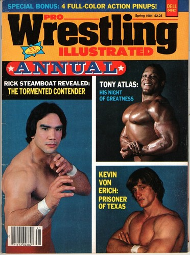 Pro wrestling illustrated - pro,