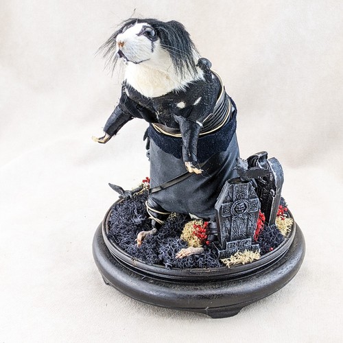 The crow movie rat graveyard - the,