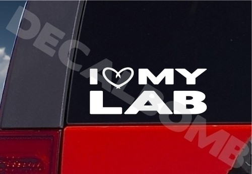 Heart lab decal - heart, my