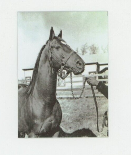 Man war champion - o,