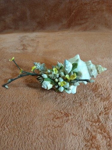 Vintage yellow petals conch - vintage,
