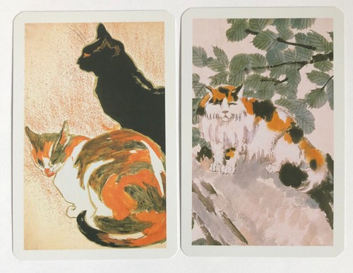 Ginger black kitten - ginger,