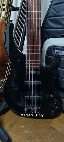 Modulus genesis string - genesis, 5-string