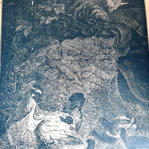 Antique engraving book - antique,