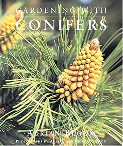 Gardening with conifers - with,