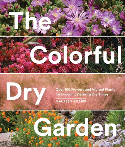 The colorful dry garden over - the,