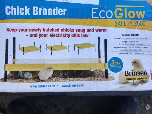 Brinsea chick brooder ecoglow - chick,