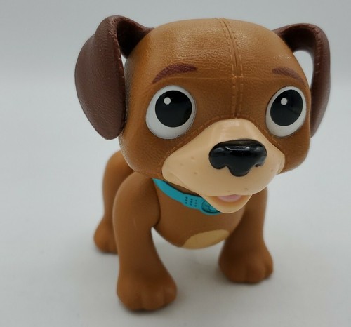 Just play dog findo - play,