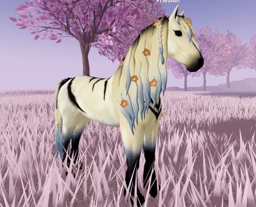 Wild horse islands - wild, 🌸