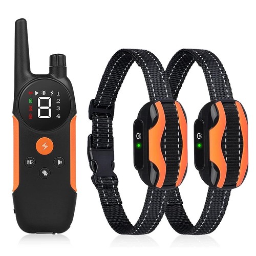 Sport dog shock - dog, collar