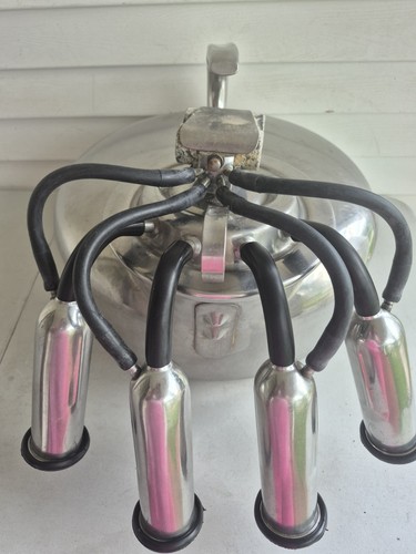 Surge milker for milking - surge,