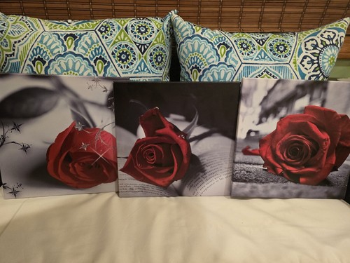 Rose canvas art 12x12 - art, (3)