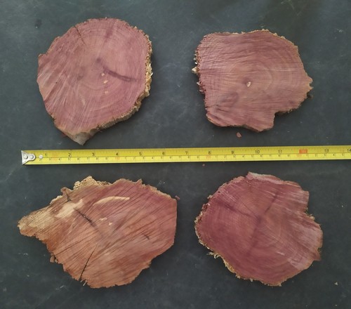 5 aromatic red - (4), 4.5"-5.5"