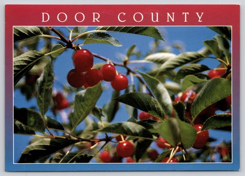 Tart montmorency cherry trees - montmorency,
