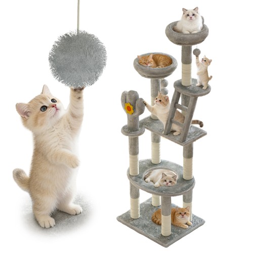 Cactus cat tree tall - tree,