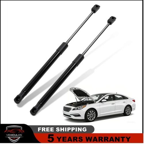 Lift supports gas spring - 2x,