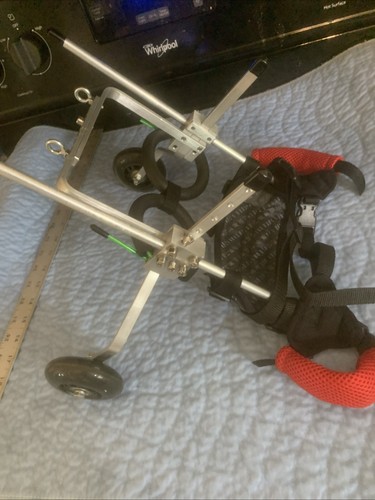 Small dog rear - , support