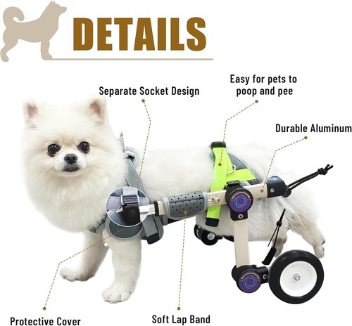 Letpetrun adjustable - letpetrun,