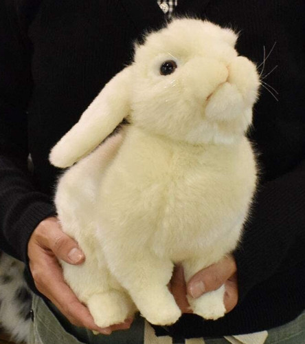 Lop ear bunny - ear,