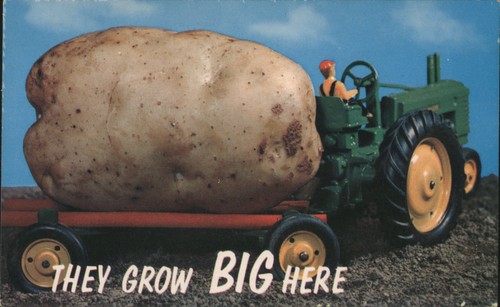 Exaggeration giant potato - exaggeration,