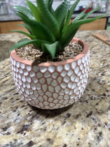 Small ceramic succulent - small,