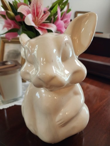 Early brush mccoy - white, rabbit