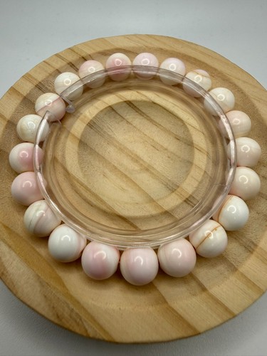 Natural queen conch - natural, shell