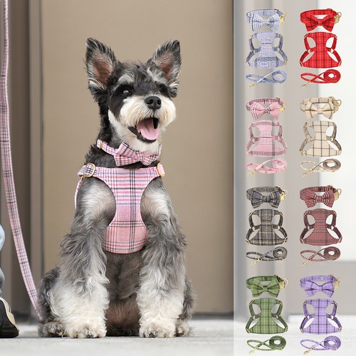 Cute small dog vest harness - cute, &