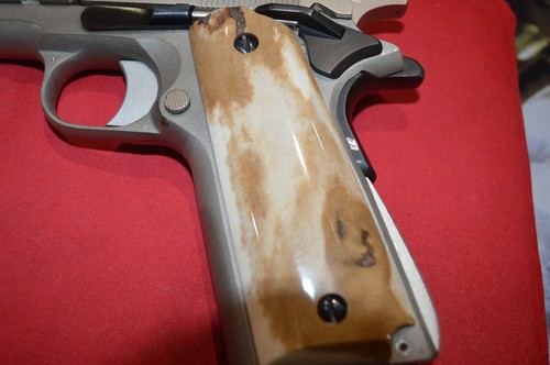 Genuine sambar stag - genuine,