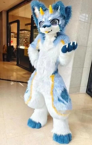 Long fur husky dog fox - husky,