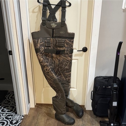 Men drake waterfowl - drake,