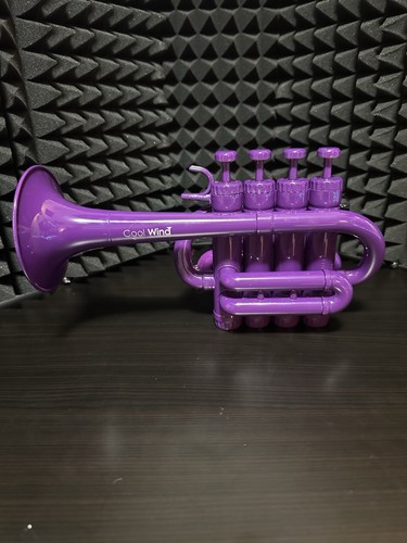 Coolwinds plastic piccolo - plastic,