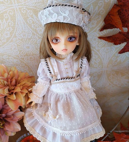 Volks tenshi kasumi - volks,