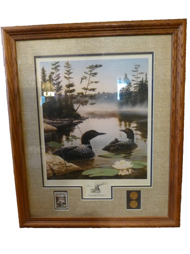 Boundry waters loon family - loon,