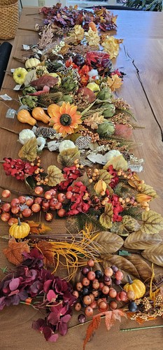 Fall autumn branches - fall, stems