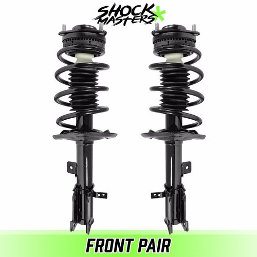 Front pair complete struts - front,